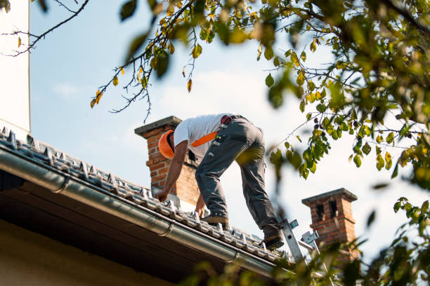 Best Chimney Flashing Repair  in Ironton, OH